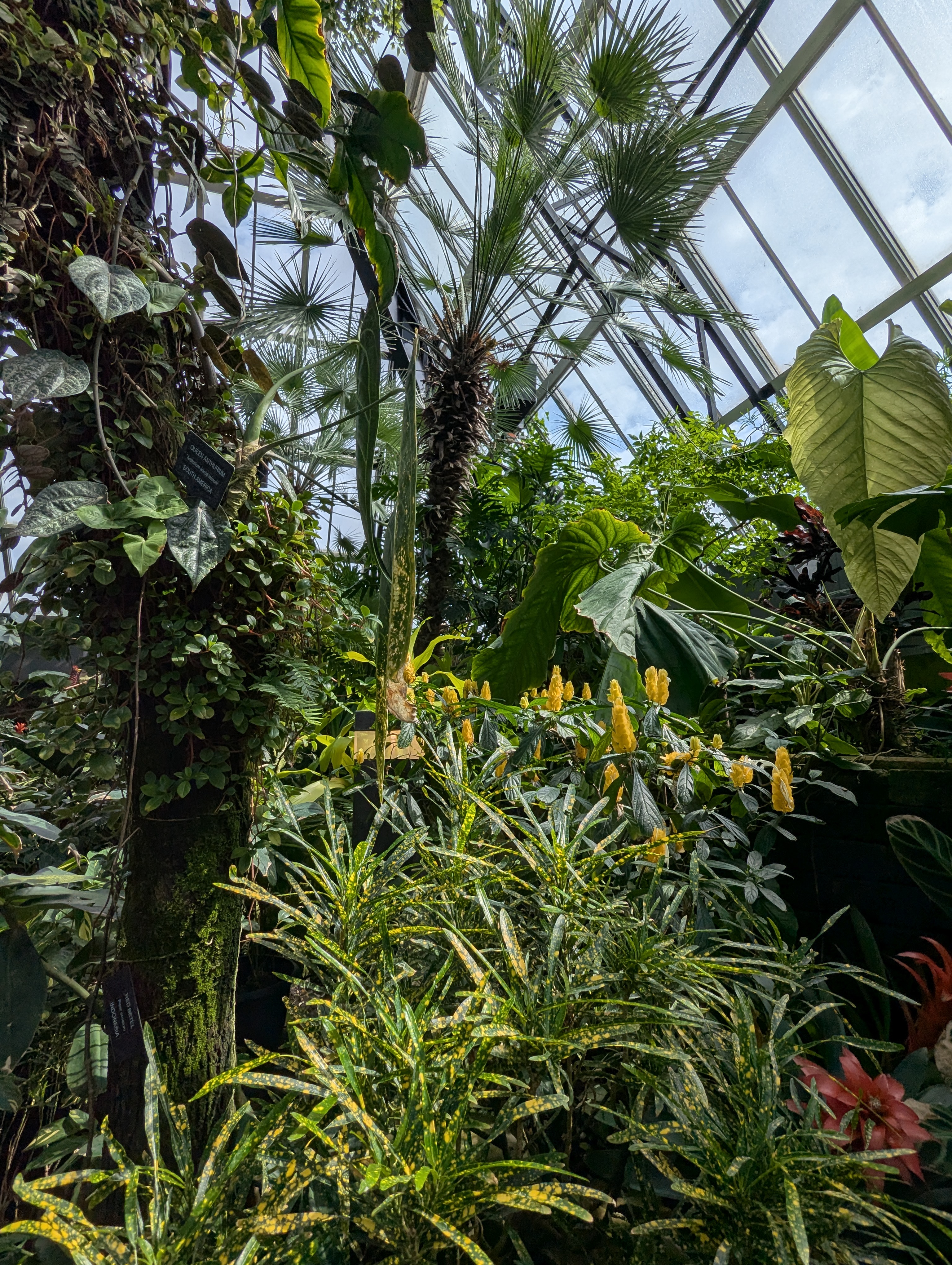 Birthday Trip to Canada, Edmonton, Pyramids, Muttart Observatory